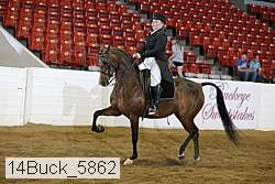 14buck_5862 proof