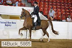 14buck_5865 proof