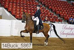 14buck_5867 proof