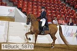 14buck_5870 proof