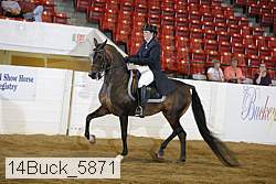 14buck_5871 proof