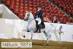 14buck_5873 proof