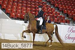 14buck_5877 proof