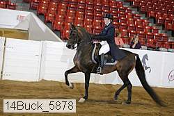 14buck_5878 proof