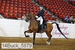 14buck_5879 proof