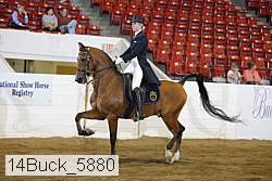 14buck_5880 proof