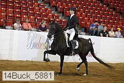 14buck_5881 proof