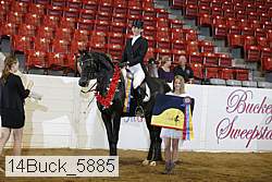 14buck_5885 proof