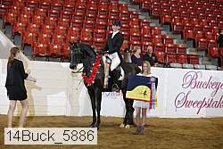 14buck_5886 proof