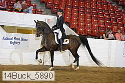 14buck_5890 proof