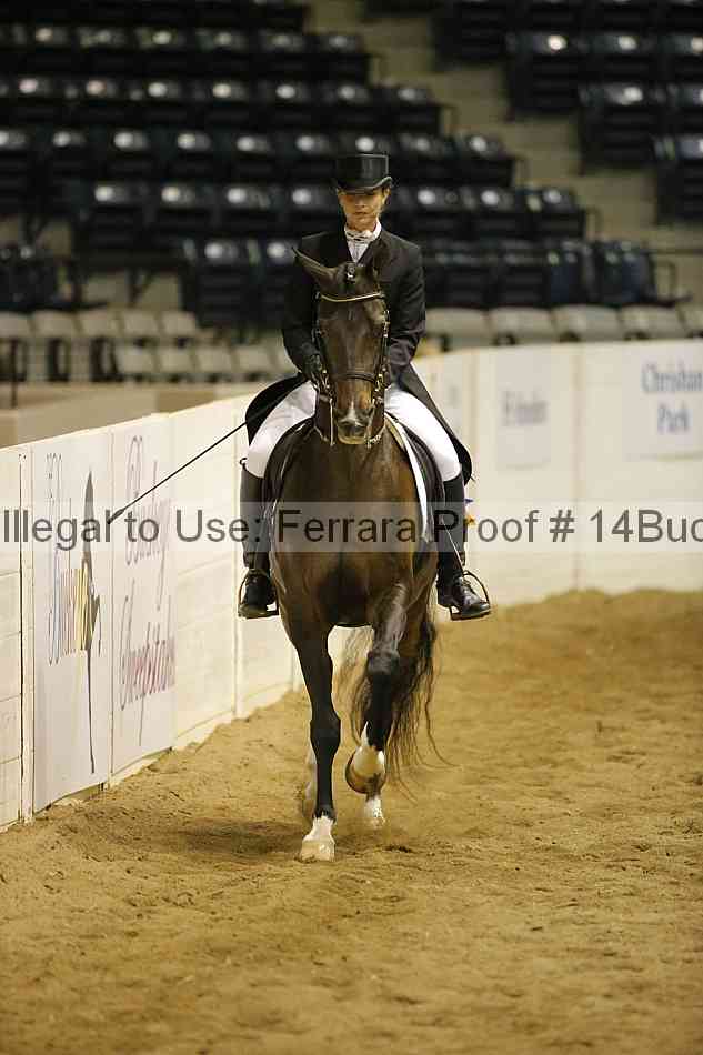 Proof 14buck_5891