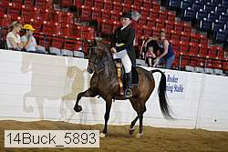 14buck_5893 proof