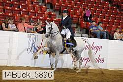 14buck_5896 proof