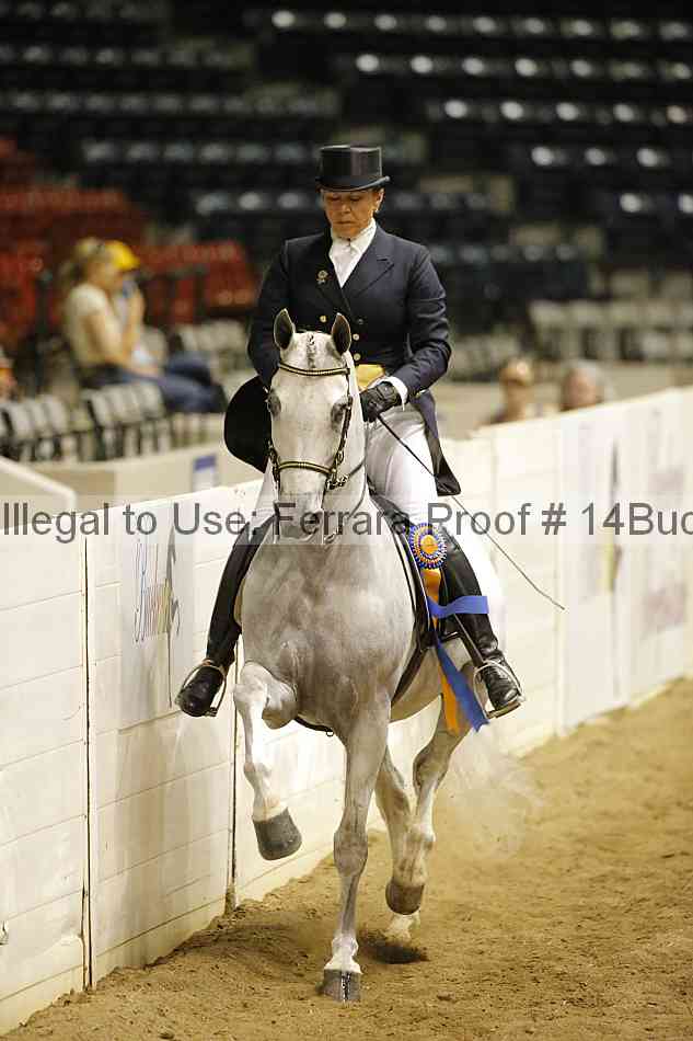 Proof 14buck_5897
