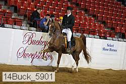 14buck_5901 proof