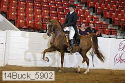 14buck_5902 proof