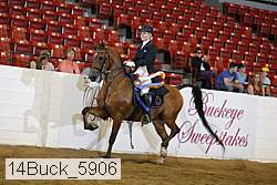14buck_5906 proof