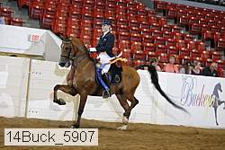 14buck_5907 proof