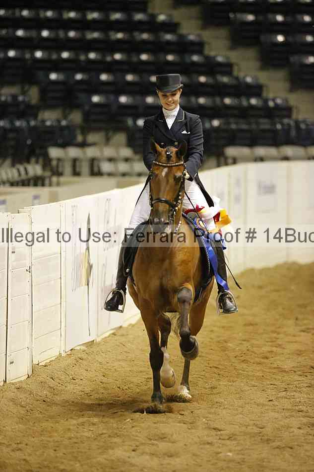 Proof 14buck_5908