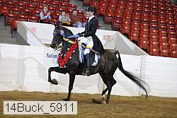 14buck_5911 proof