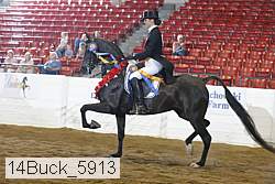 14buck_5913 proof