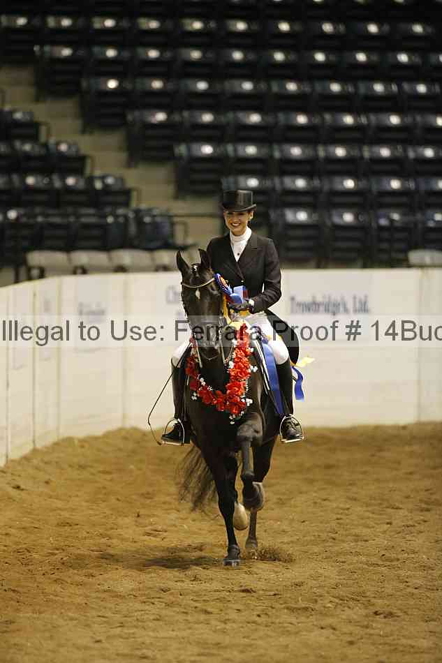 Proof 14buck_5914