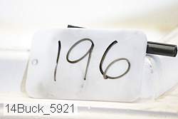 14buck_5921 proof