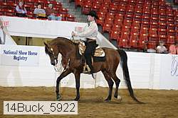 14buck_5922 proof