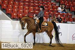 14buck_5926 proof