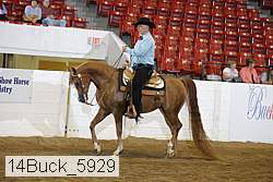 14buck_5929 proof