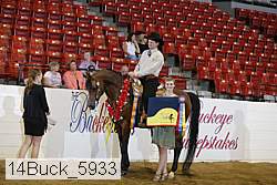 14buck_5933 proof