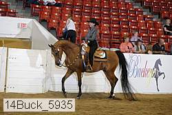 14buck_5935 proof