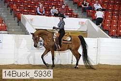 14buck_5936 proof