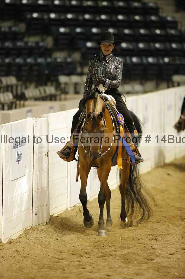 Proof 14buck_5938