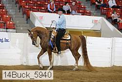 14buck_5940 proof