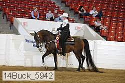 14buck_5942 proof