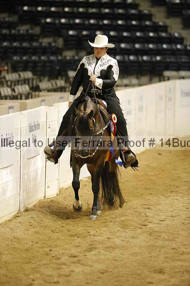 Proof 14buck_5945