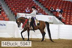 14buck_5947 proof