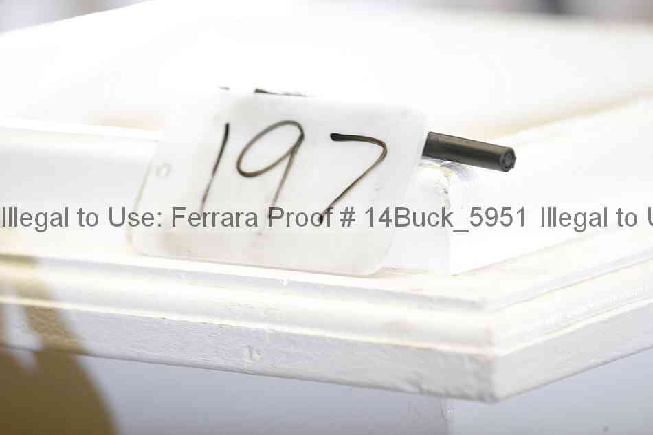 Proof 14buck_5951