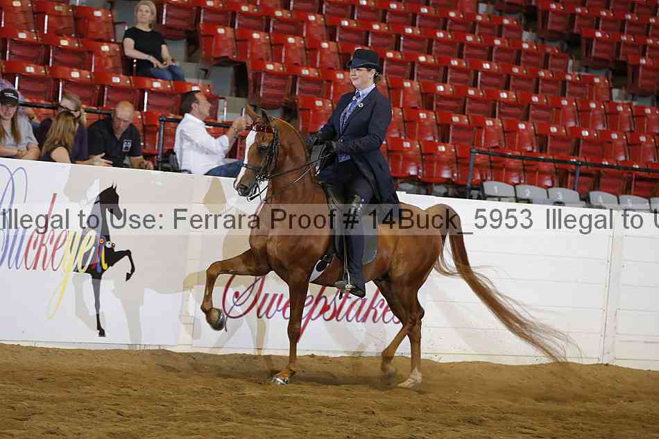 Proof 14buck_5953