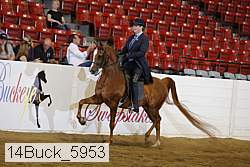 14buck_5953 proof