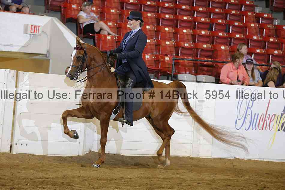 Proof 14buck_5954