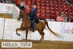14buck_5954 proof