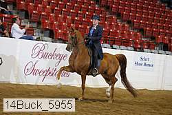 14buck_5955 proof