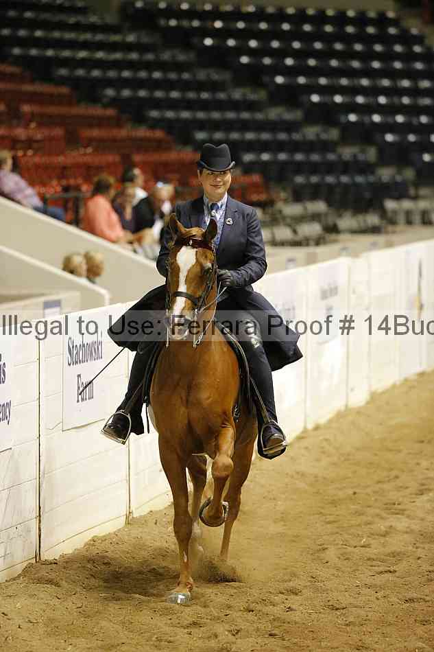 Proof 14buck_5956