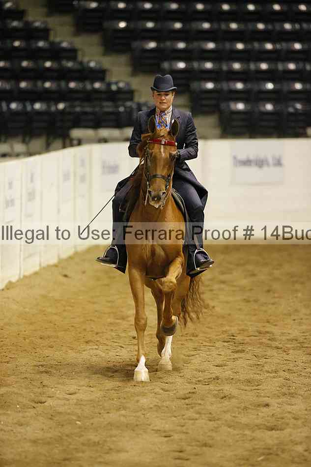 Proof 14buck_5957