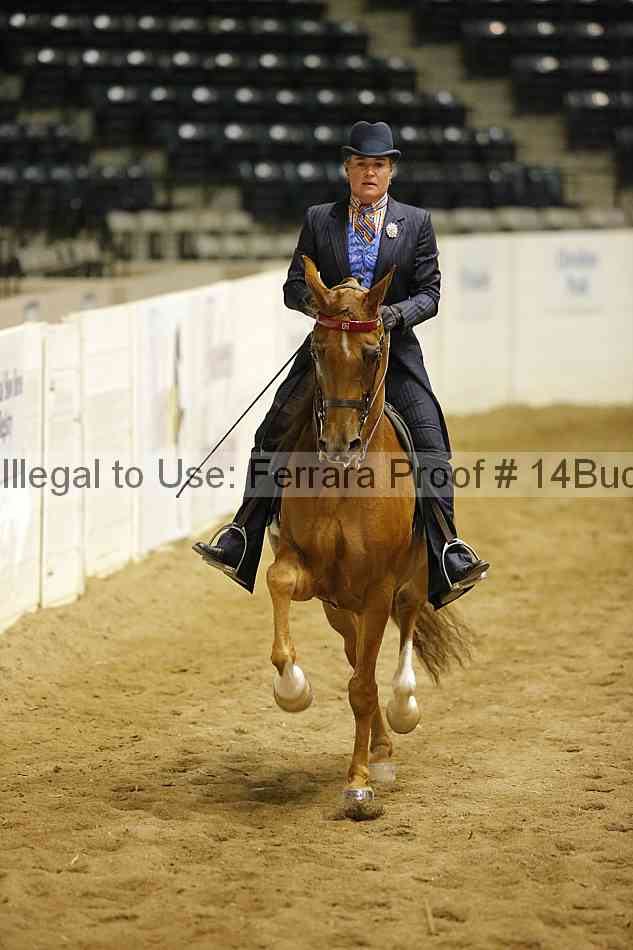 Proof 14buck_5958