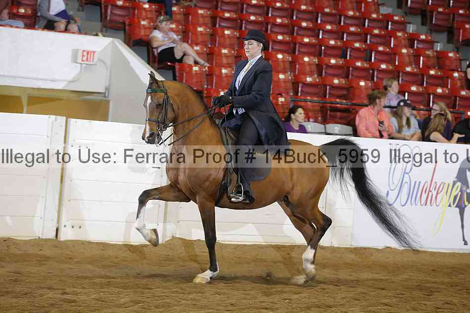 Proof 14buck_5959