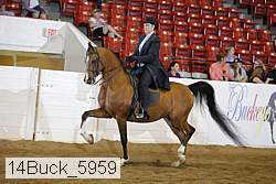 14buck_5959 proof