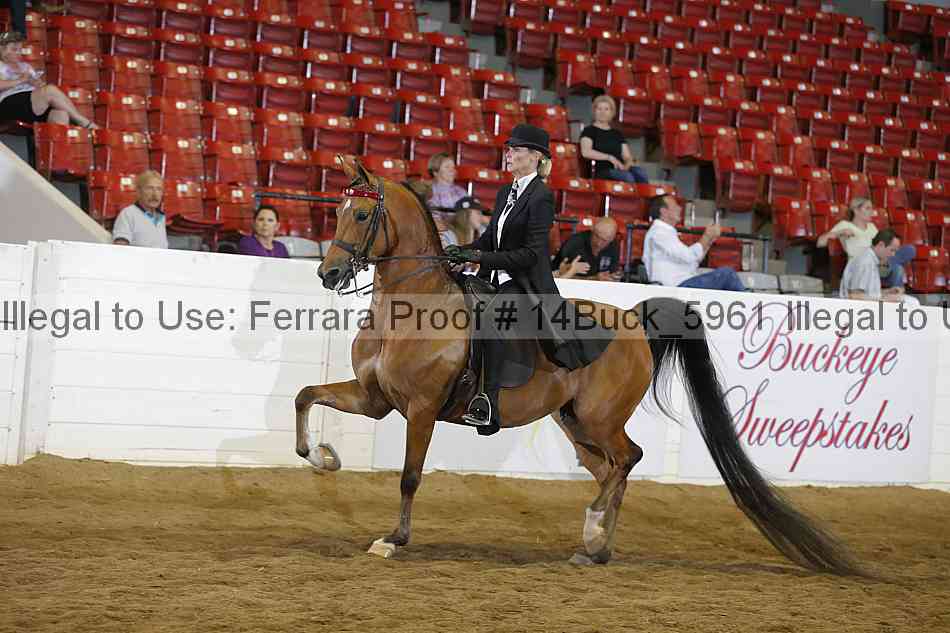 Proof 14buck_5961
